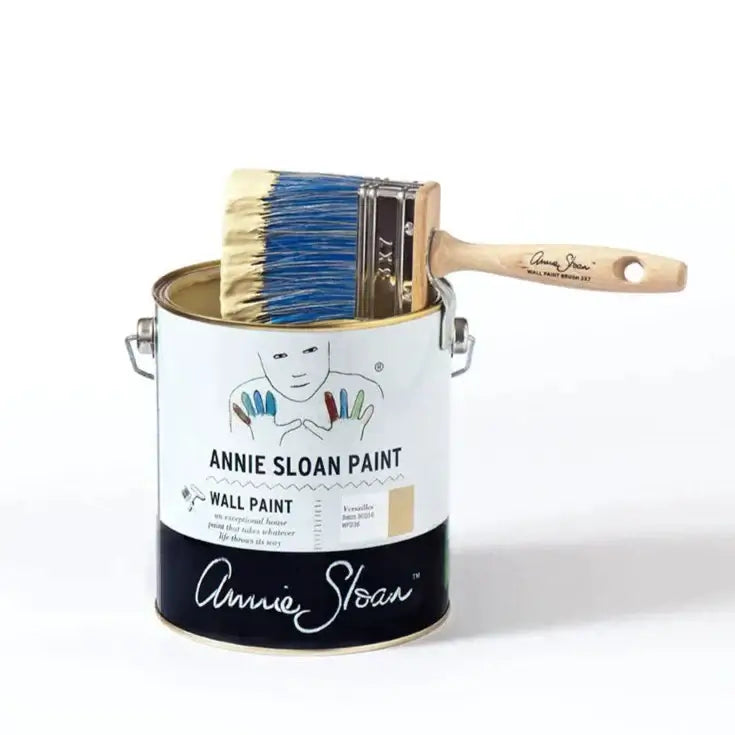 Annie Sloan Wall Paint Tools