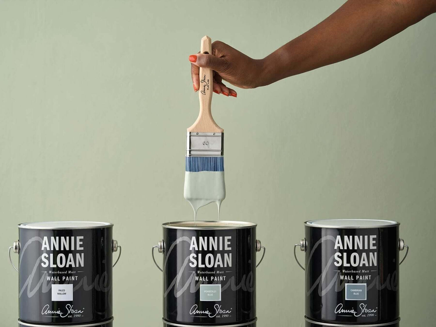 Annie Sloan Wall Paint