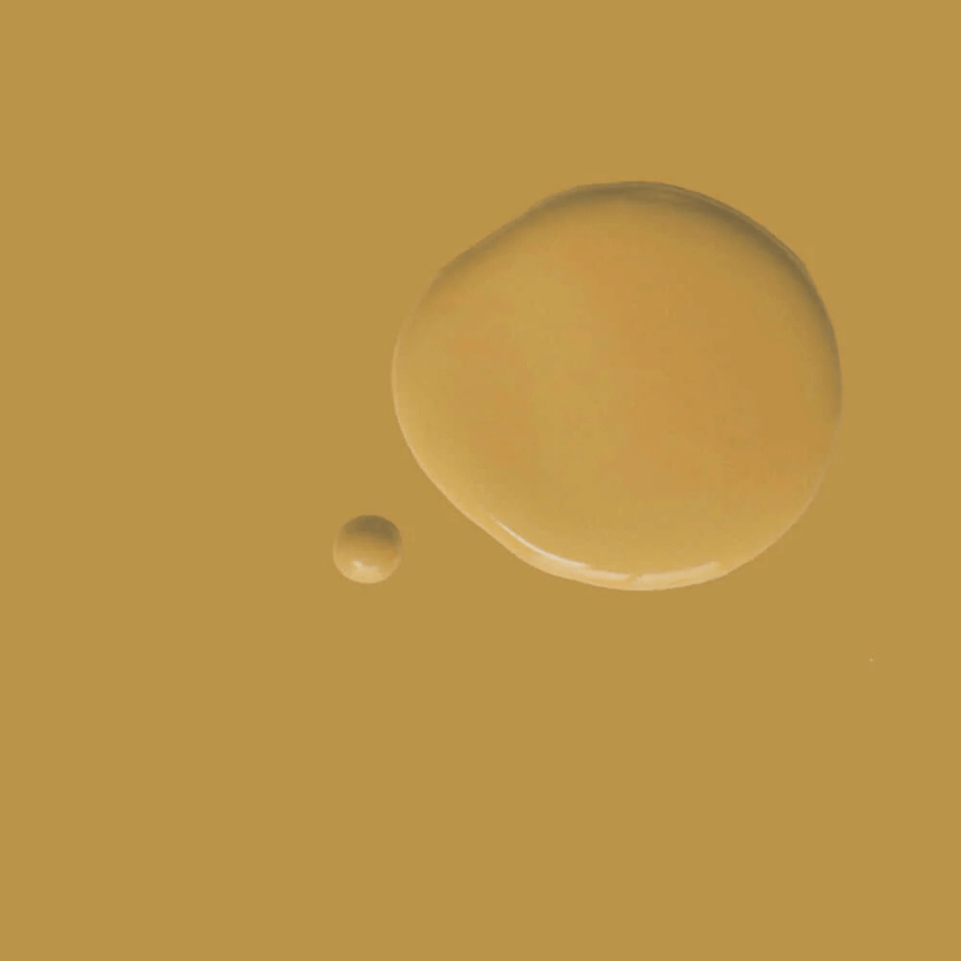 Carnaby Yellow - Annie Sloan Satin Paint showcasing rich mustard yellow paint droplets on a textured backdrop.