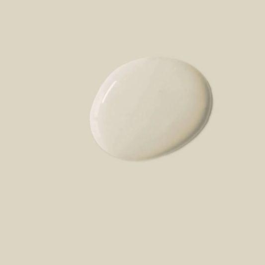 Canvas - Annie Sloan Satin Paint sample showing a putty-tinted neutral color on a beige background.