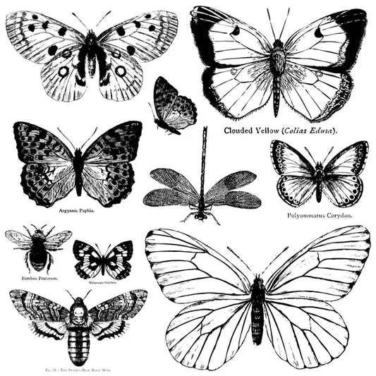 BUTTERFLIES 12×12 IOD DECOR STAMP™
