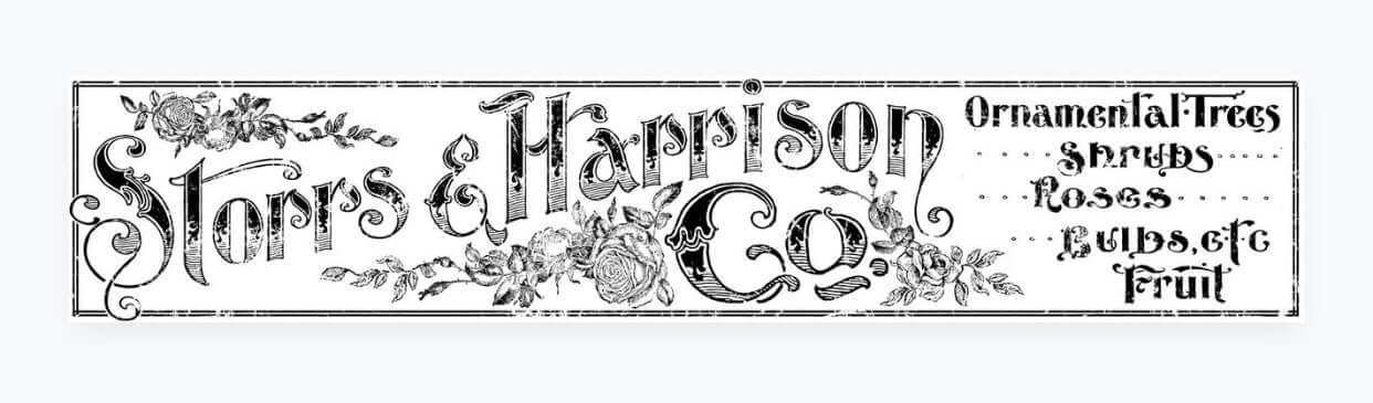 STORRES AND HARRISON 12 x 60 DECOR TRANSFER™