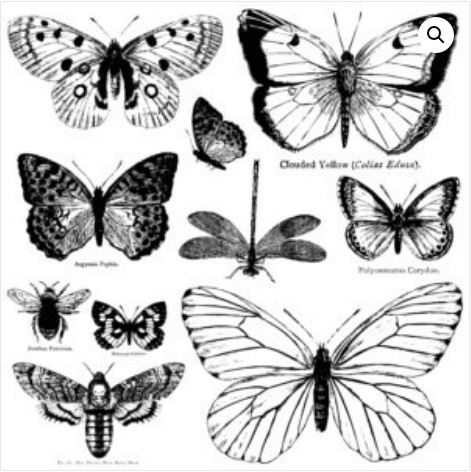 BUTTERFLIES 12×12 IOD DECOR STAMP™