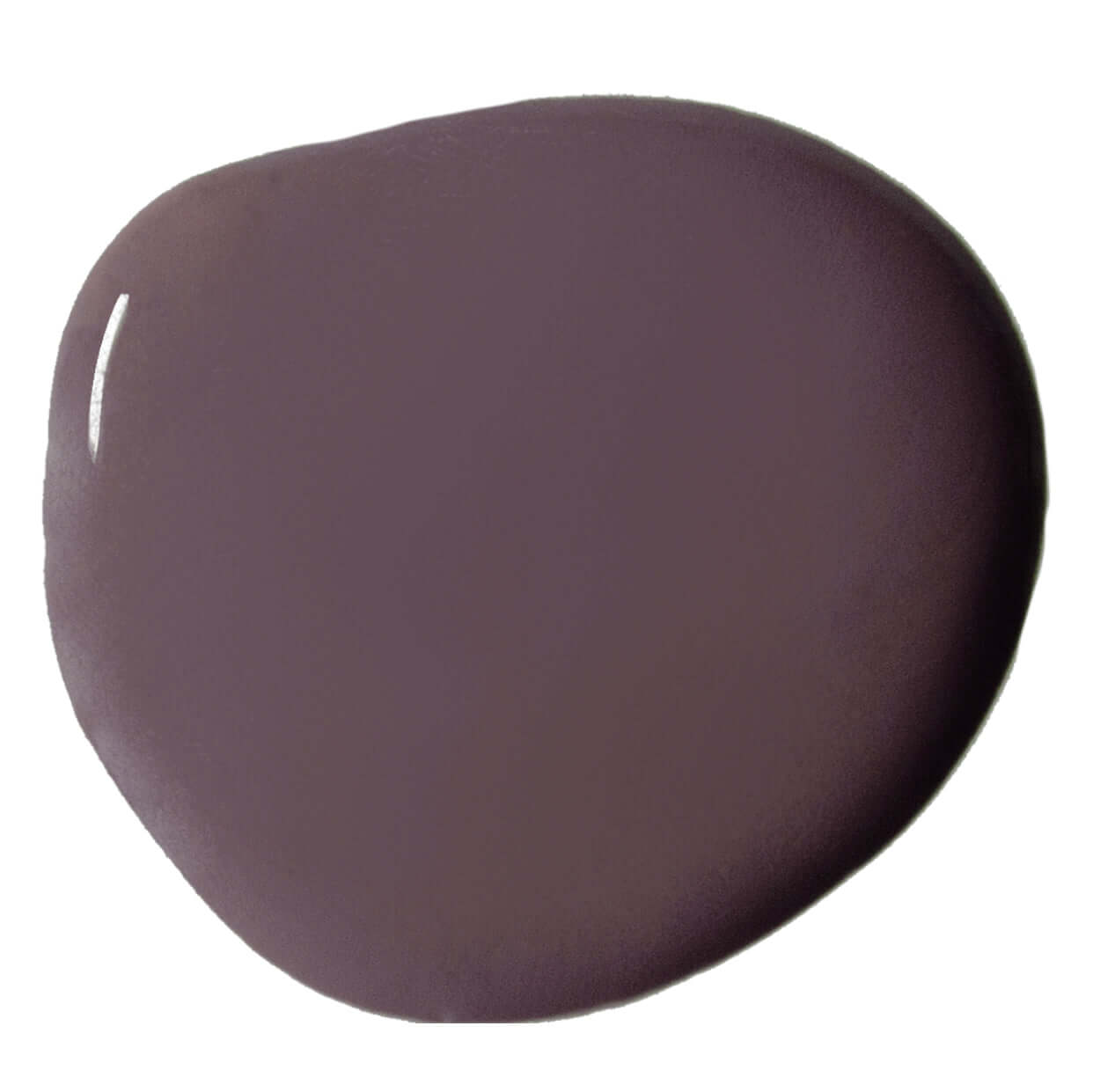 Tyrian Plum - Annie Sloan Wall Paint® color swatch showing a rich jewel-toned plum shade.