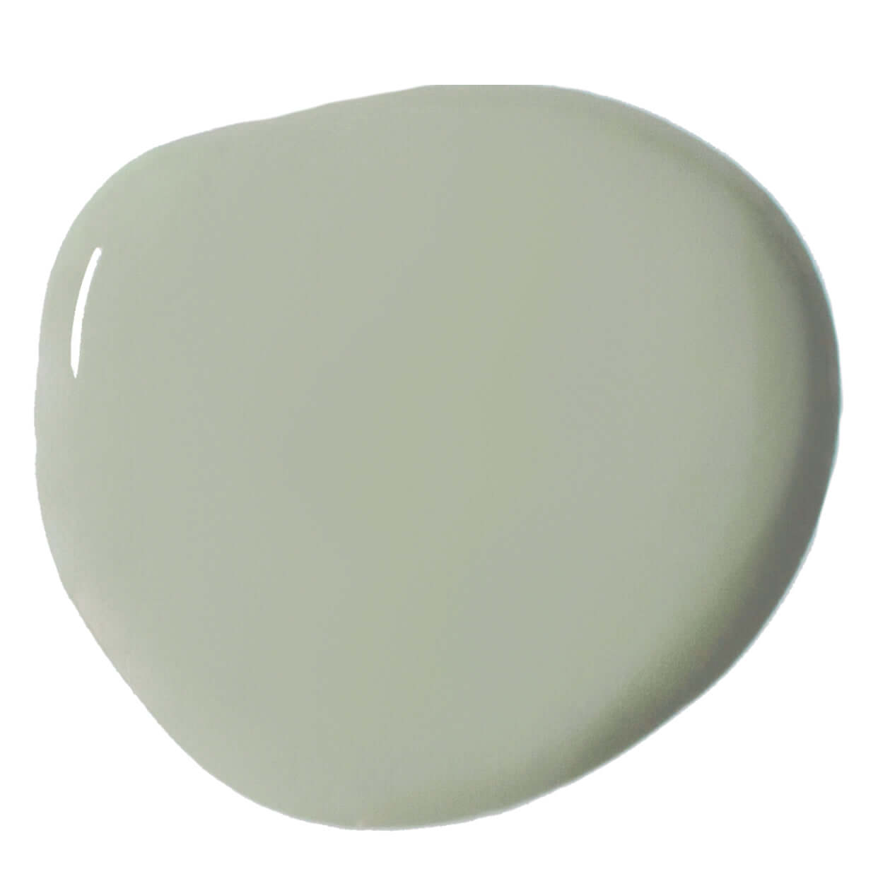 Terre Verte - Annie Sloan Wall Paint® in cool neutral grey green color swatch